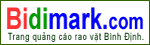{ads.WEB}